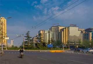 重庆兰花育苗基质生产工艺