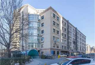 经济型碱抗产量