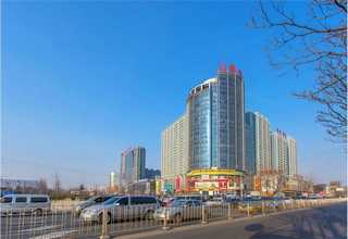 临沂水泥砖厂家